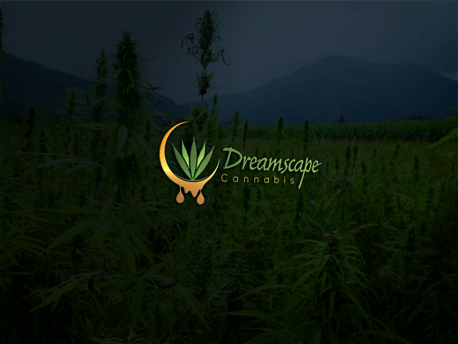 Logo Design by Deziners Zone for this project | Design #17158180