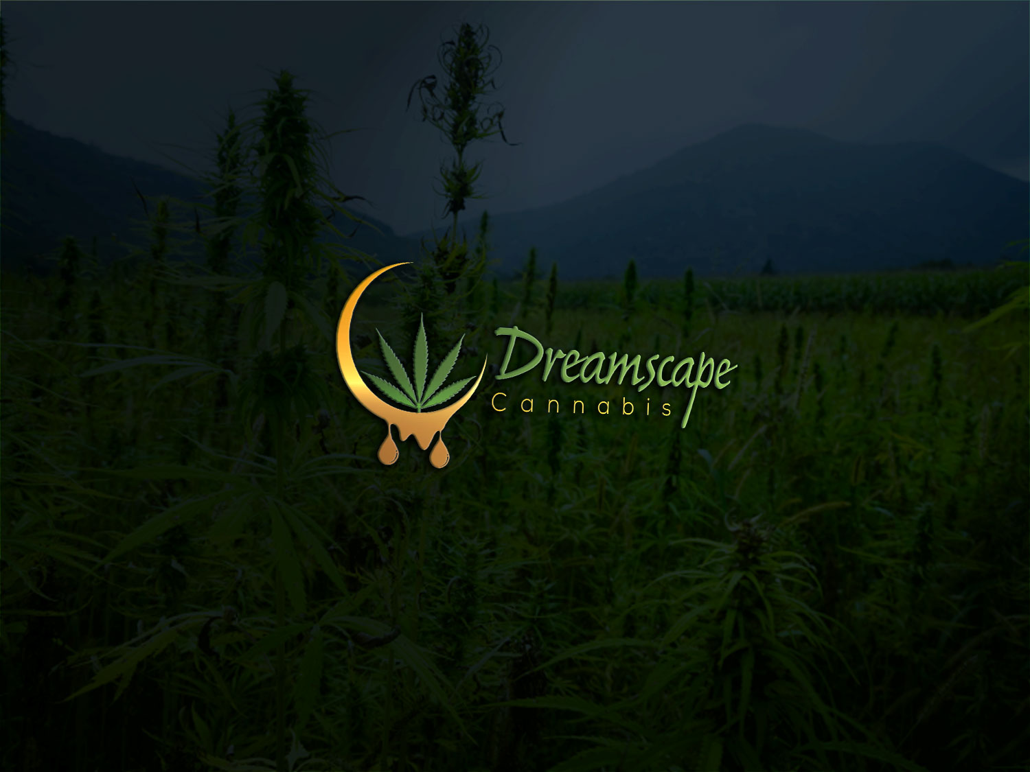 Logo Design by Deziners Zone for this project | Design #17158181