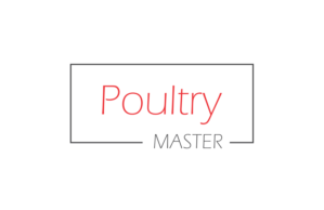 Logo Design by Ayesha 5