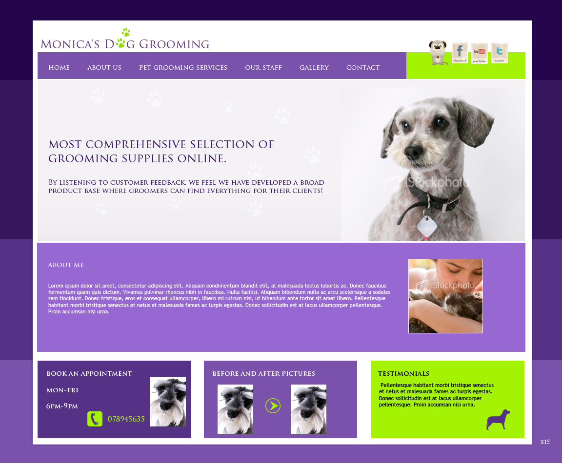 Diseño Web por pb para este proyecto | Diseño #613669