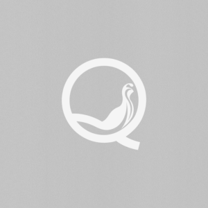 Diseño de Logo por A.STUDIO para este proyecto | Diseño: #16865941