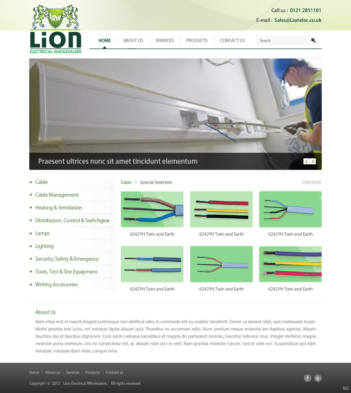 Wordpress Design by pb for Lion Electrical Wholeslalers Ltd | Design #2673706