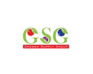 Logo Design by Pv_999 for GSG | Design: #16719974