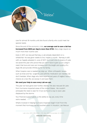 Print Design by Brisbane Graphic for this project | Design: #16772121