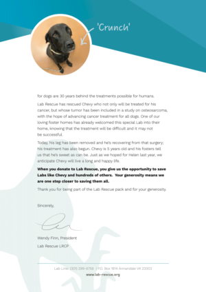 Print Design by Brisbane Graphic