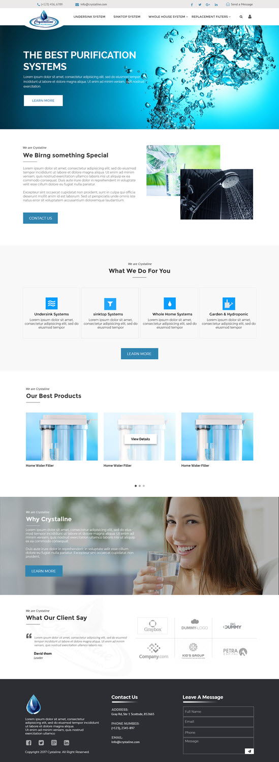 Web Design by TechWise for this project | Design #16785890