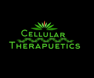 Logo Design by LisichkaTOO