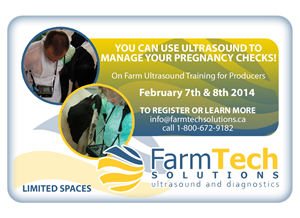 Banner Ad Design by grievesdesign