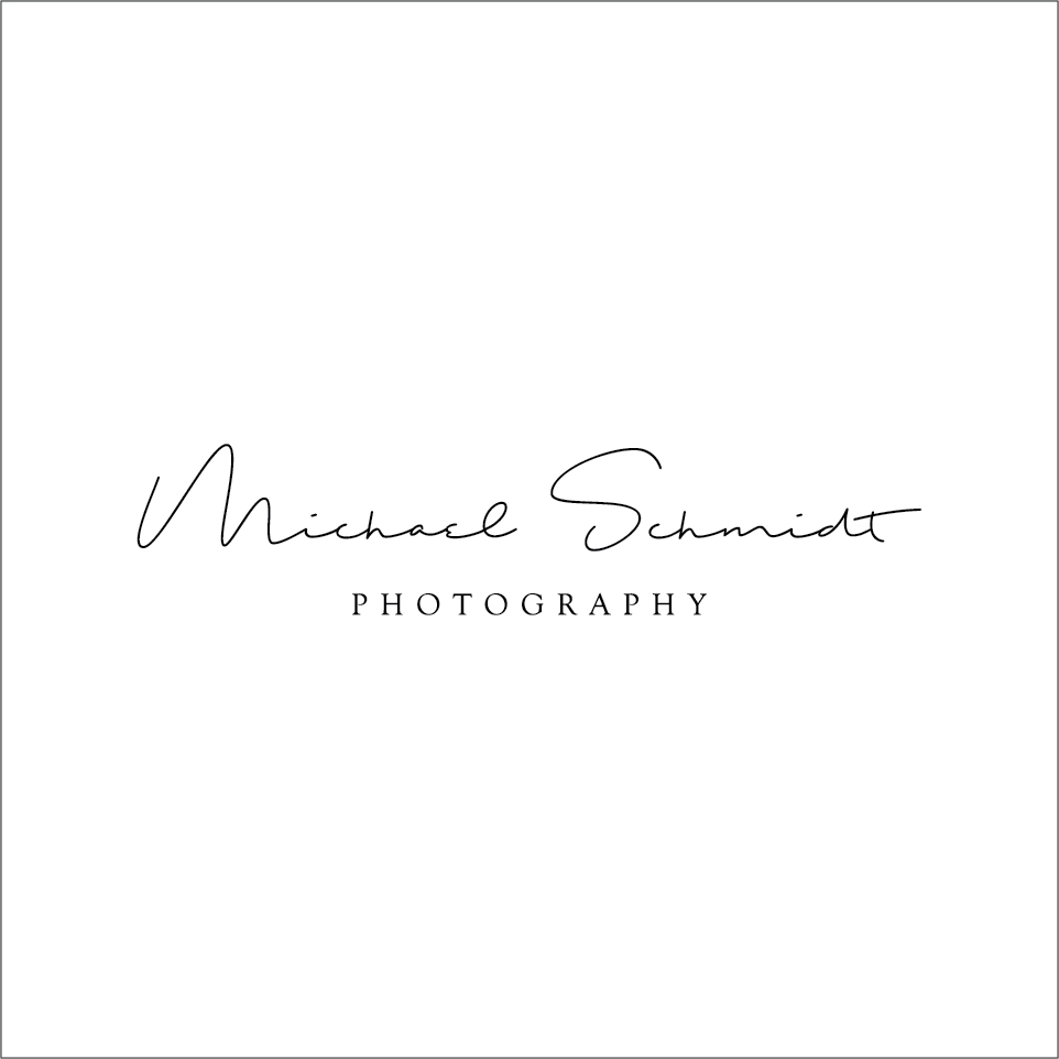 Diseño de Logo por beingmasoodahmad para Michael Schmidt Photography | Diseño #16788388