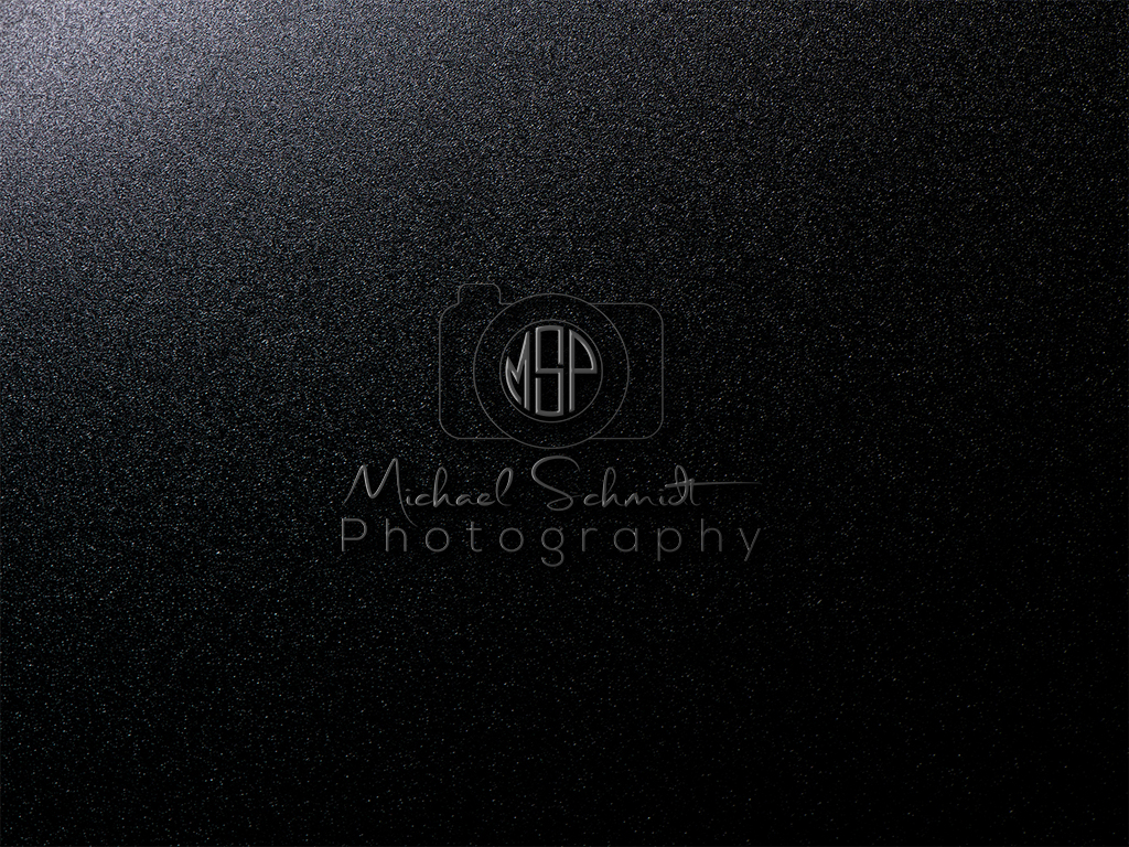 Logo-Design von imsakiballhasan für Michael Schmidt Photography | Design #16753779