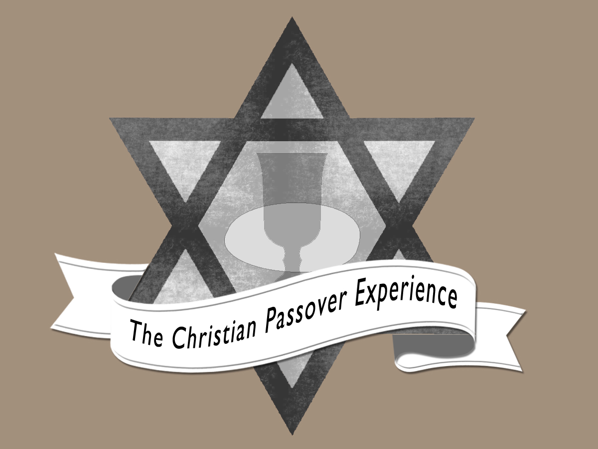 Logo Design by Designer77 for this project | Design #2751052