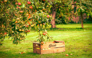 Diseño de Logo por A S design @ para Kiss International | Diseño: #16790059