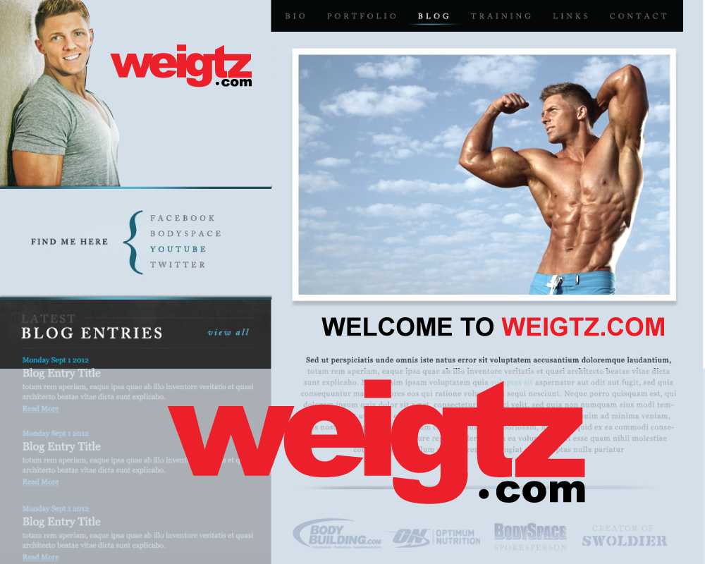 Diseño de Logo por A S design @ para Borghi Dario | Diseño #16768145