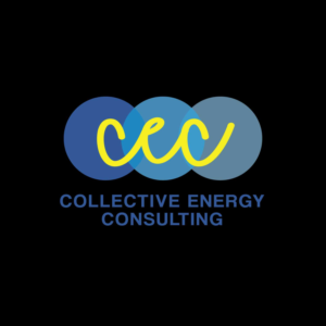 Logo-Design von anandr1115 für Concentric Cognitive Solutions | Design #16772052