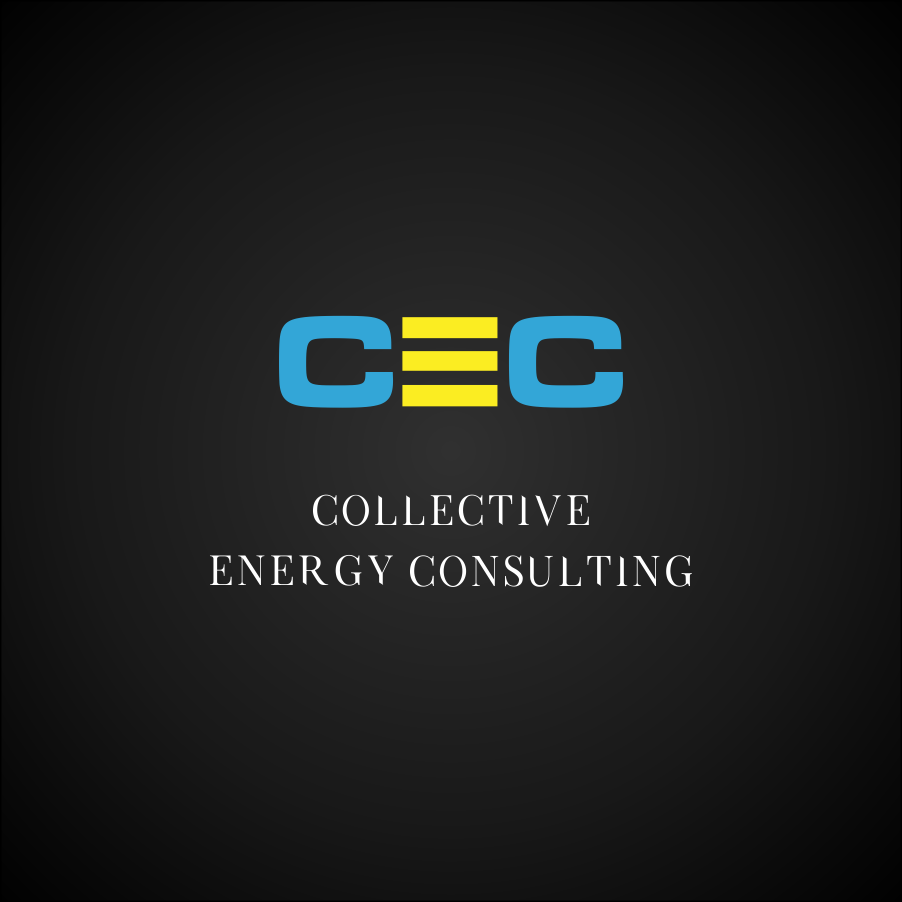 Logo Design by Lunaris atelier for Concentric Cognitive Solutions | Design #16850955