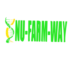 Logo Design by LisichkaTOO