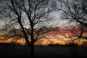 Photography by MsMarsha