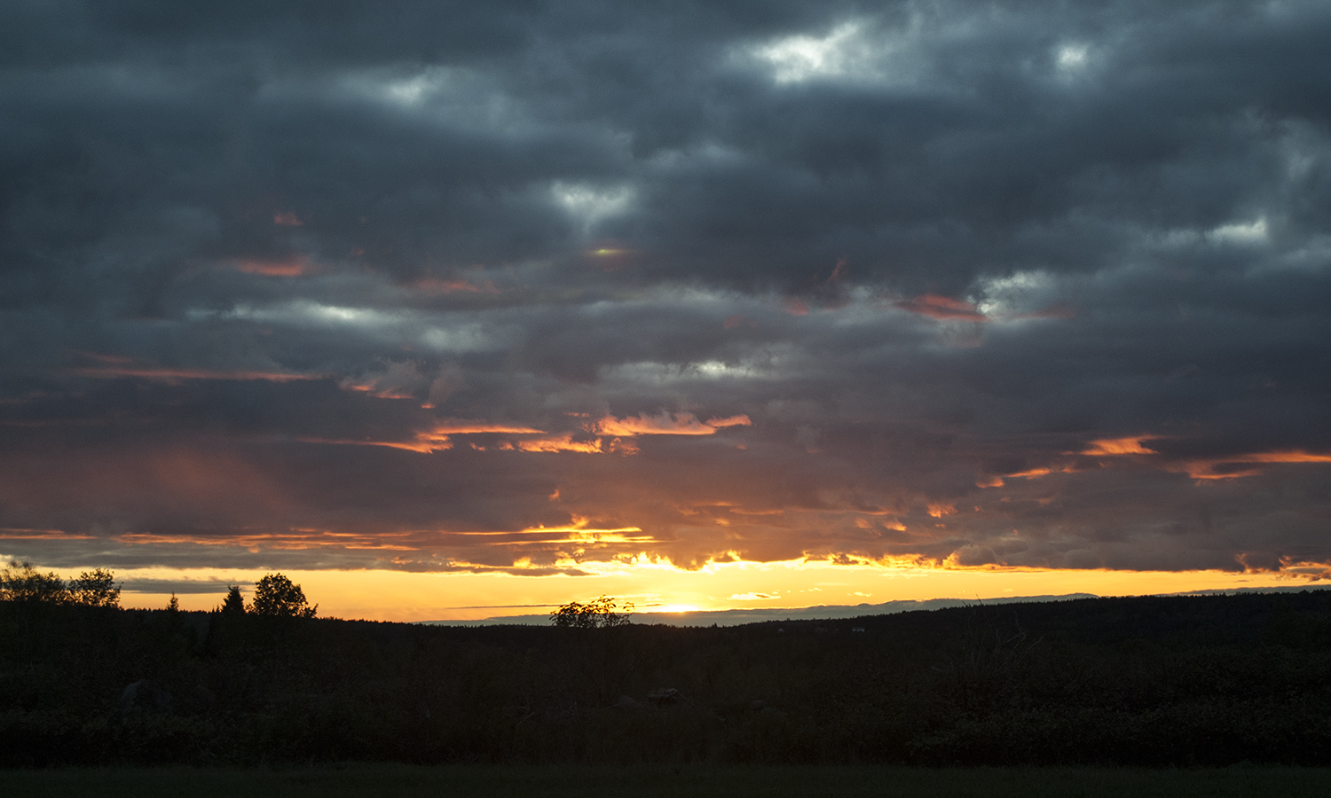 Photography by billymalenfant for DesignCrowd (Community Contests) | Design #16857354