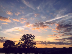Photography by Anna R Smith