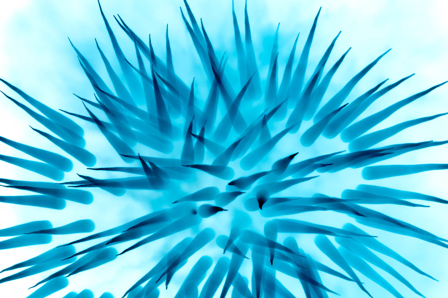 Photography by Peter Panda for DesignCrowd (Community Contests) | Design #16787341