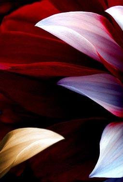 Photoshop Design by gkadvertisersgwl