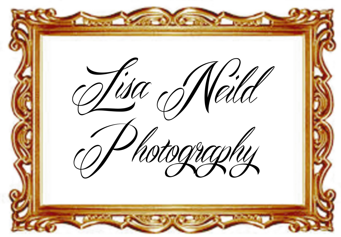 Logo Design by DN Sutton for this project | Design #2678953