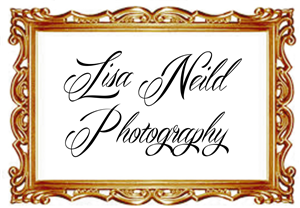 Logo Design by DN Sutton for this project | Design: #2678953