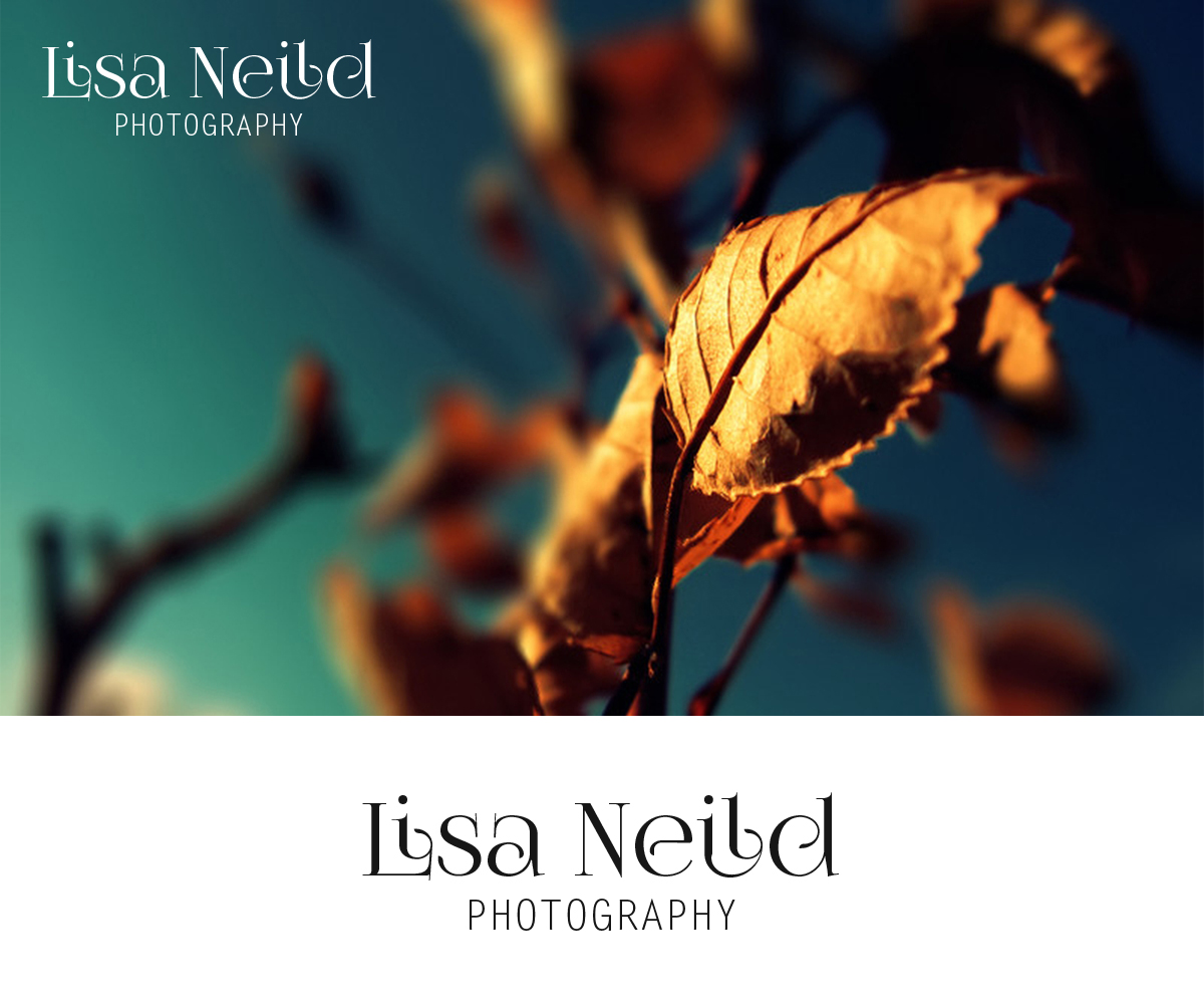 Logo Design by Shank for this project | Design #2723510