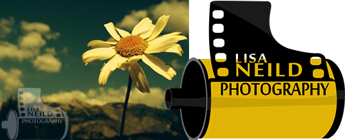 Logo Design by 8990 Creative Group for this project | Design #2689666