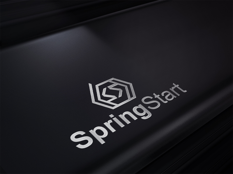 Spring Start Brand It Company Logo Design for SpringStart by talha005 | Design #16786491