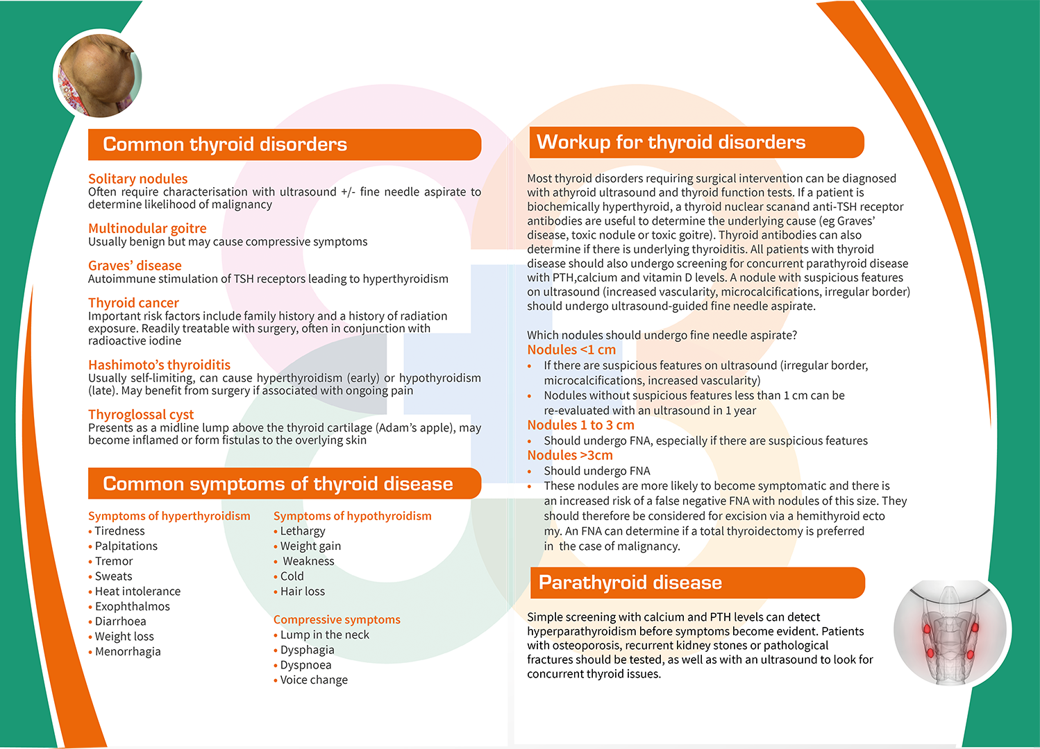 Flyer Design by Shabnum Khan for Casey Surgical Group | Design #17192404