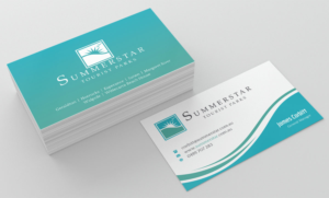 Business Card Design by INDIAN_Ashok for Summerstar Pty Ltd | Design: #16782683
