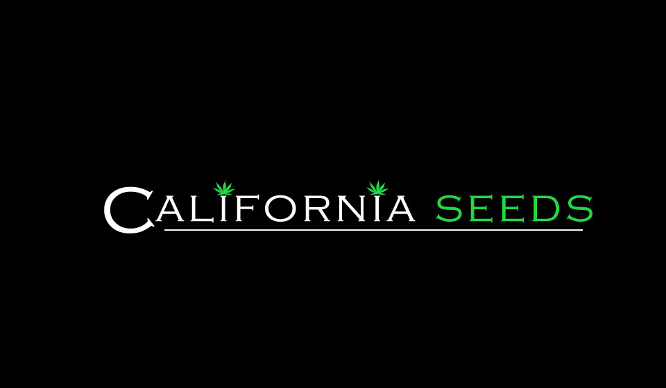 Logo Design by salman0997 for this project | Design #16921427