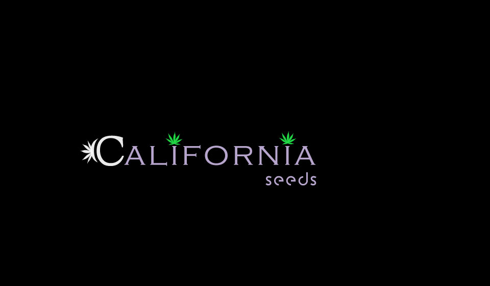 Logo Design by salman0997 for this project | Design #16921690