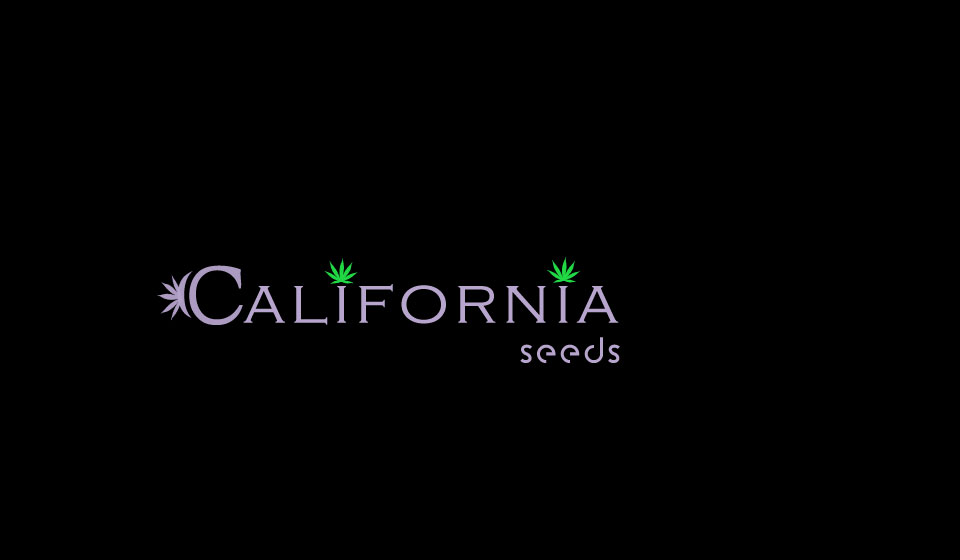 Logo Design by salman0997 for this project | Design #16921700