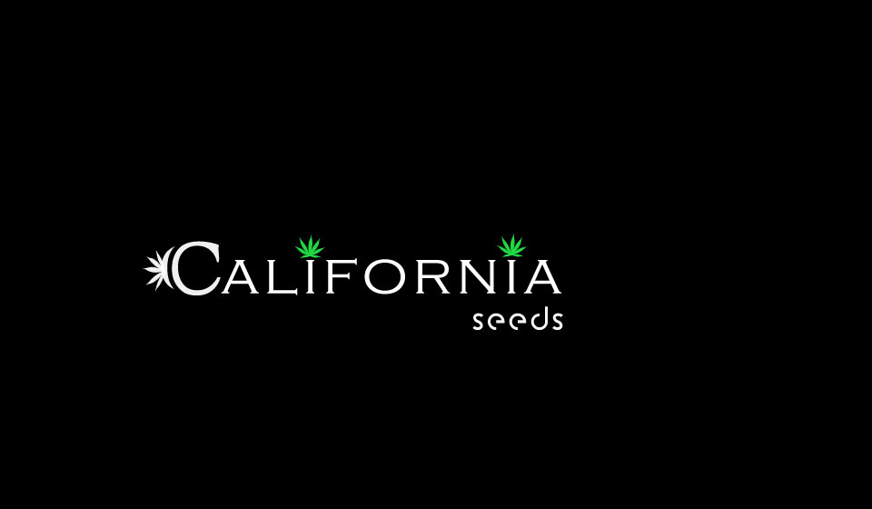 Logo Design by salman0997 for this project | Design #16922967