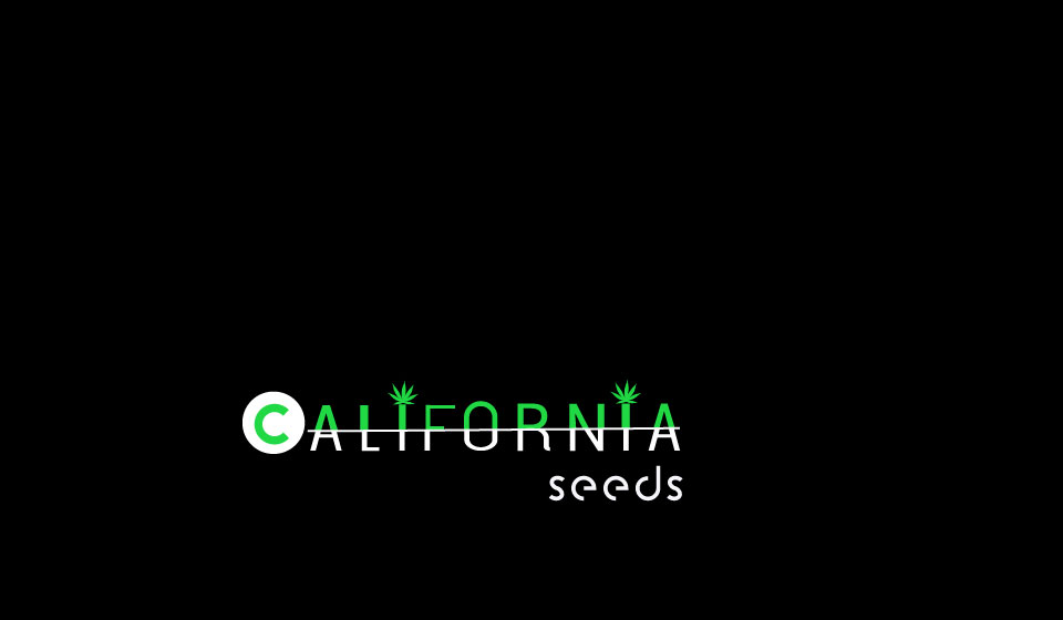 Logo Design by salman0997 for this project | Design #16933541
