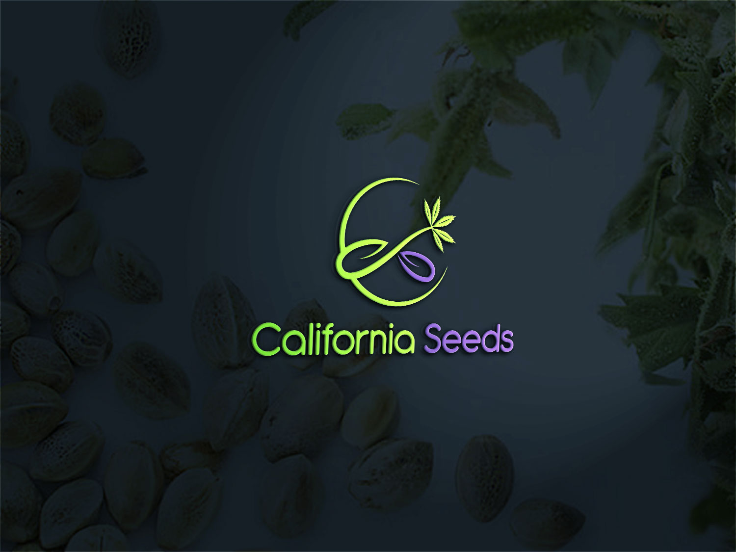 Logo Design by Deziners Zone for this project | Design #16822317