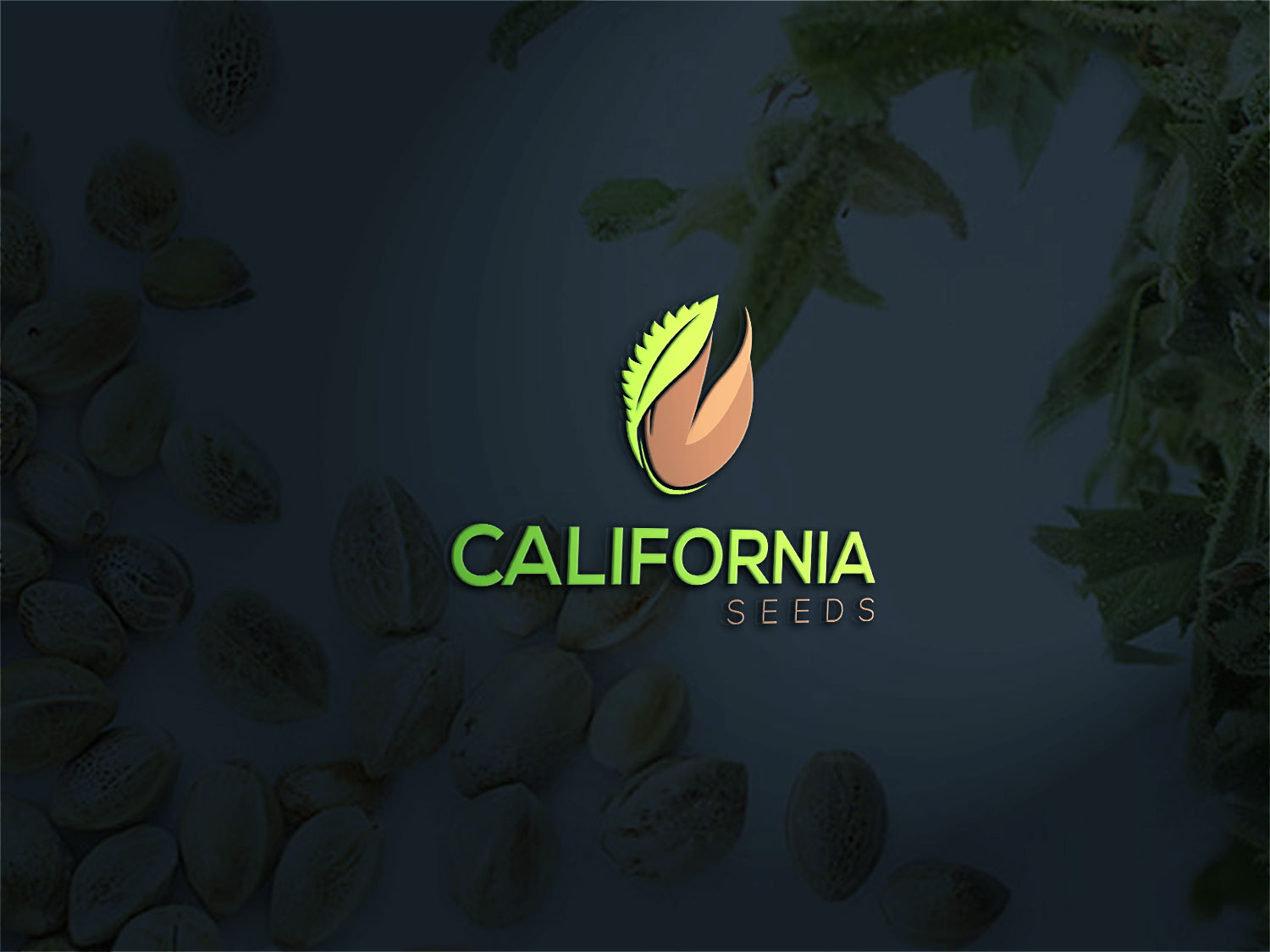 Logo Design by Deziners Zone for this project | Design #16822333