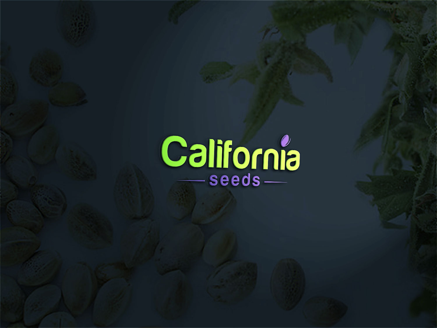 Logo Design by Deziners Zone for this project | Design #16832296