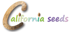 Logo Design by daradiazam