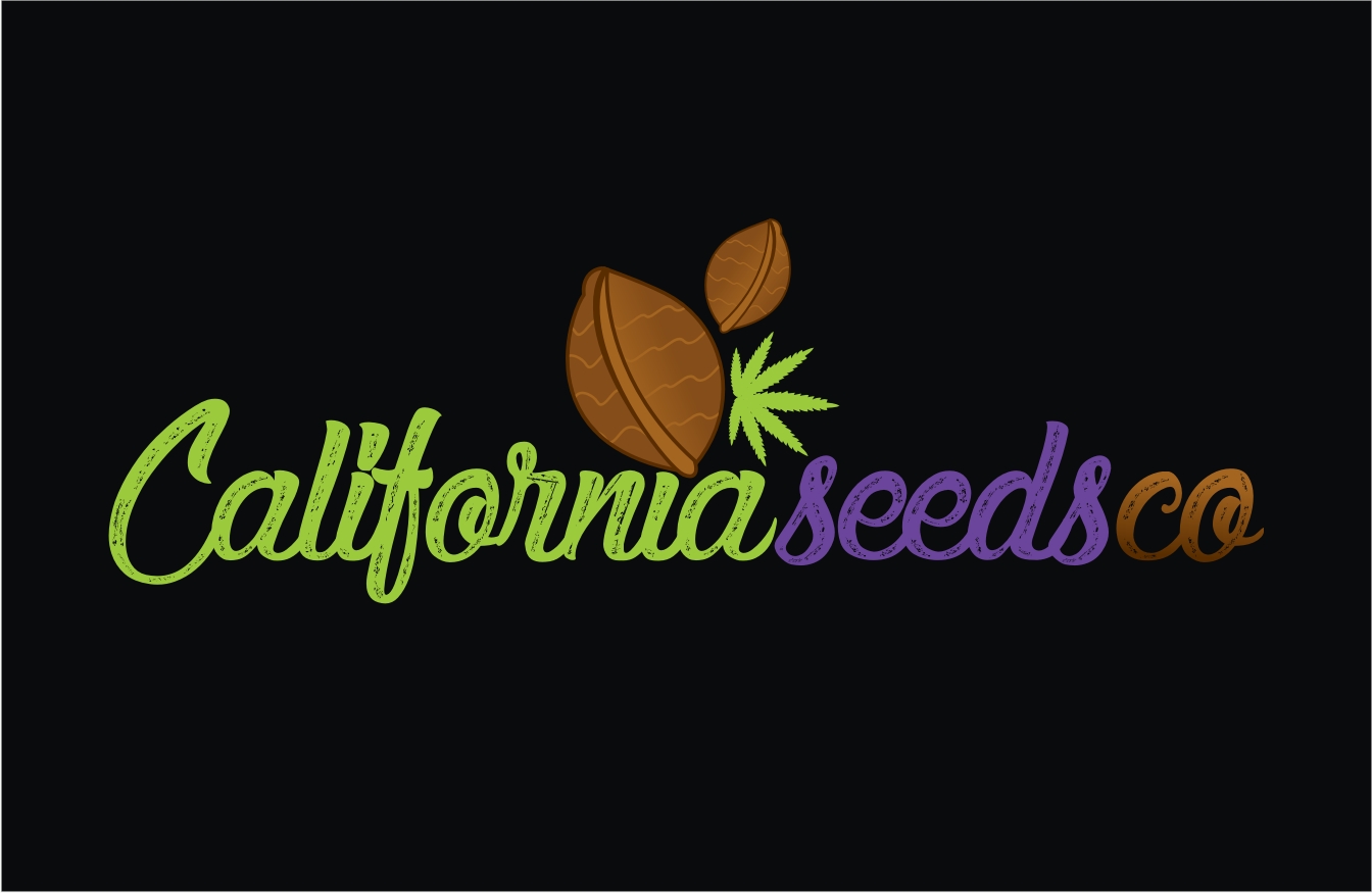 Logo Design by Soul Light for this project | Design #16915306