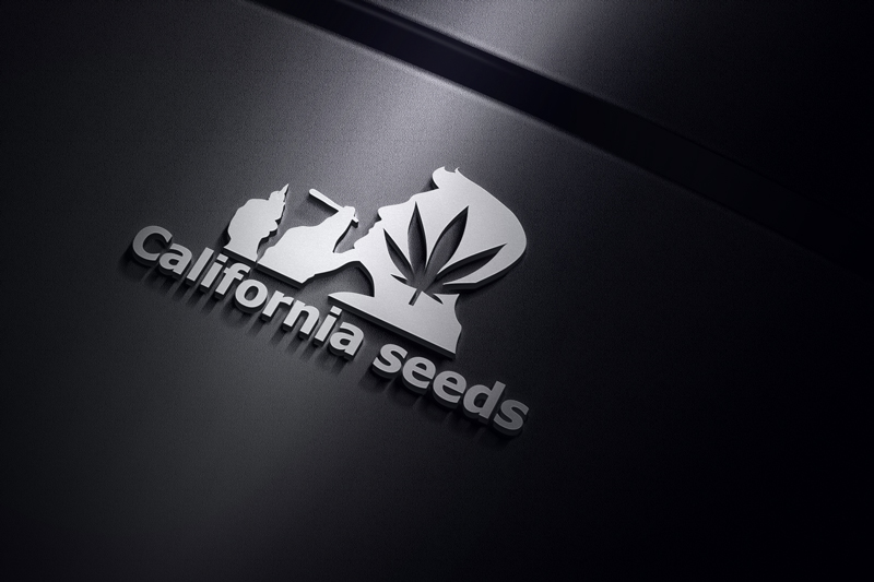 Logo Design by rocklee for this project | Design #16838658