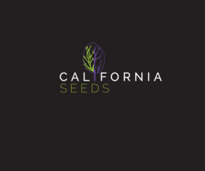 Logo Design by Shepherd's Pie for this project | Design: #16912073