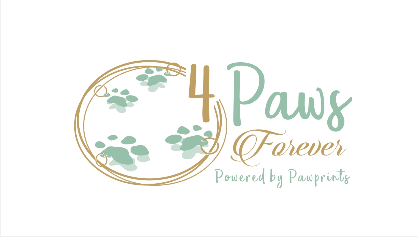 Logo Design by Soul Light for this project | Design #16802603