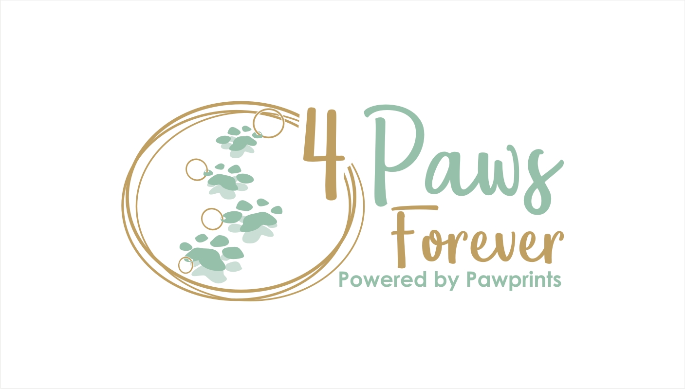 Logo Design by Soul Light for this project | Design #16807352