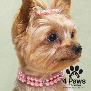 Logo Design by zebronicgraphic for this project | Design: #16799369