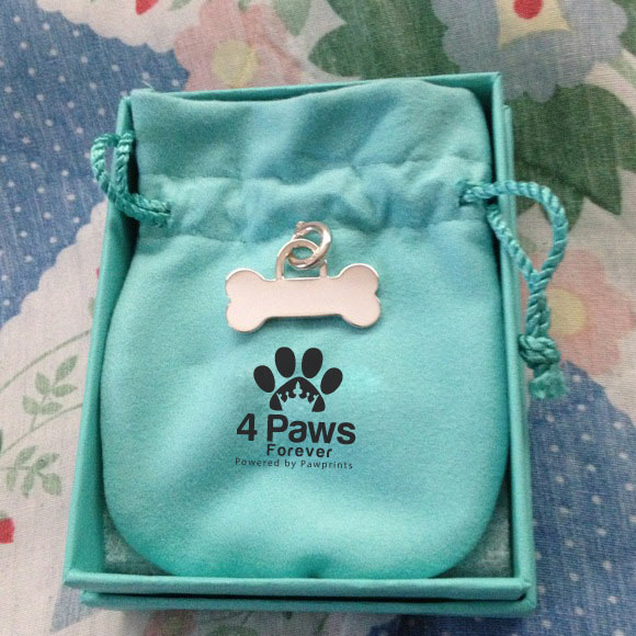 Logo Design by zebronicgraphic for this project | Design #16799370