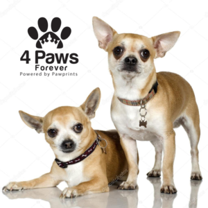 Logo Design by zebronicgraphic for this project | Design: #16799374