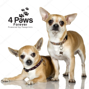 Logo Design by zebronicgraphic for this project | Design: #16799375